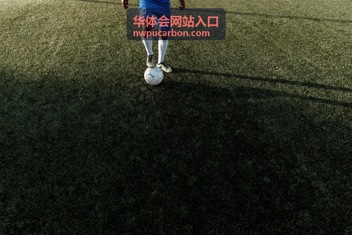华体会网站入口电竞项目回放封面